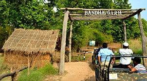 Bandhavgarh Tour